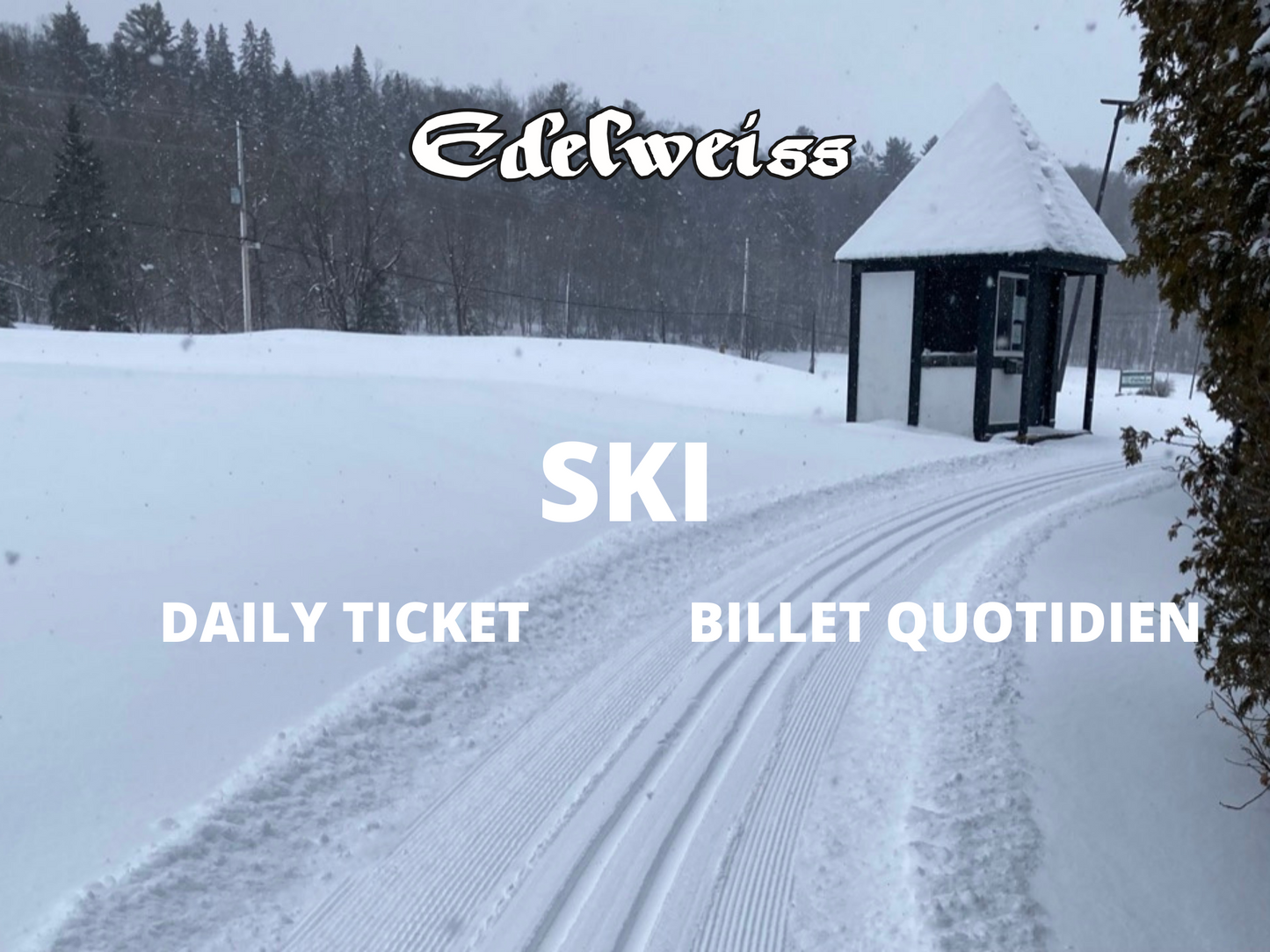 Daily Cross-Country Ski Ticket